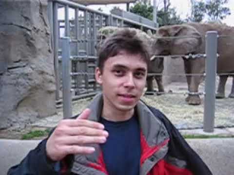 Original Thumbnail